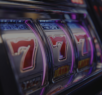 7bit Casino